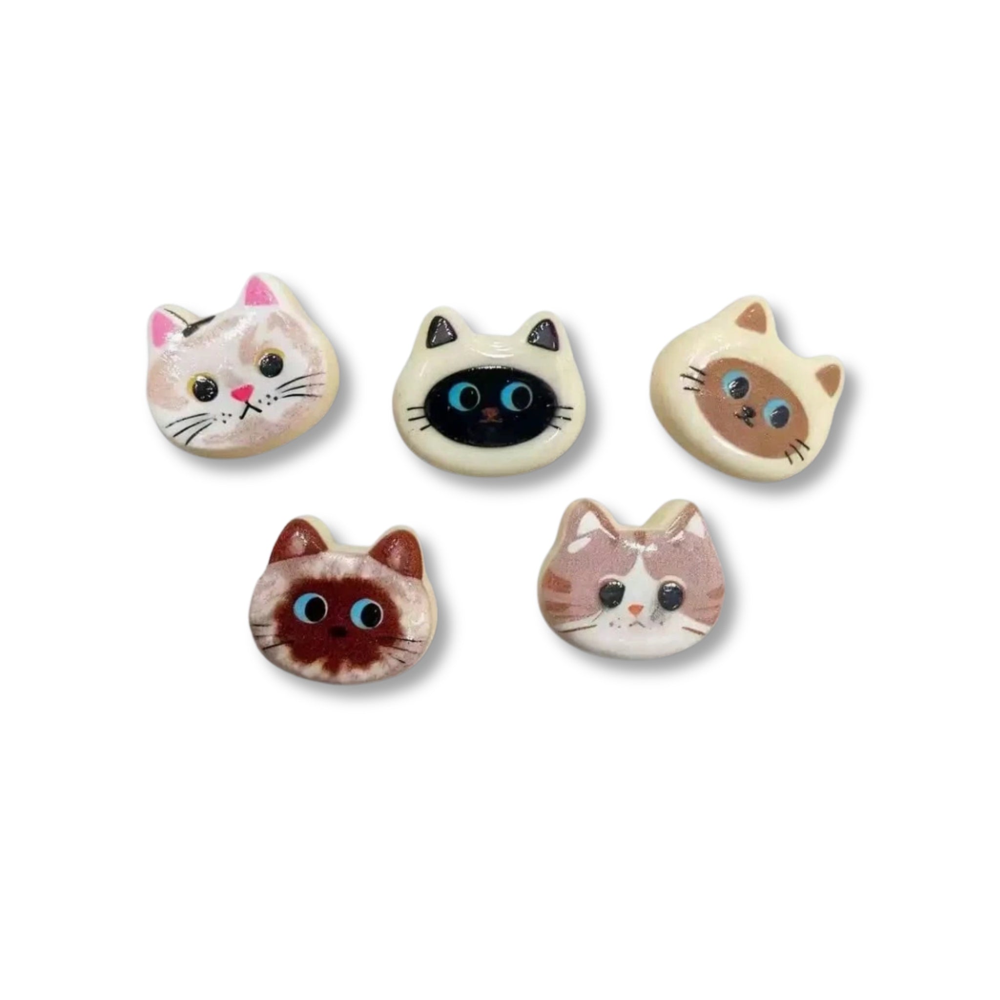 the cat head magnets