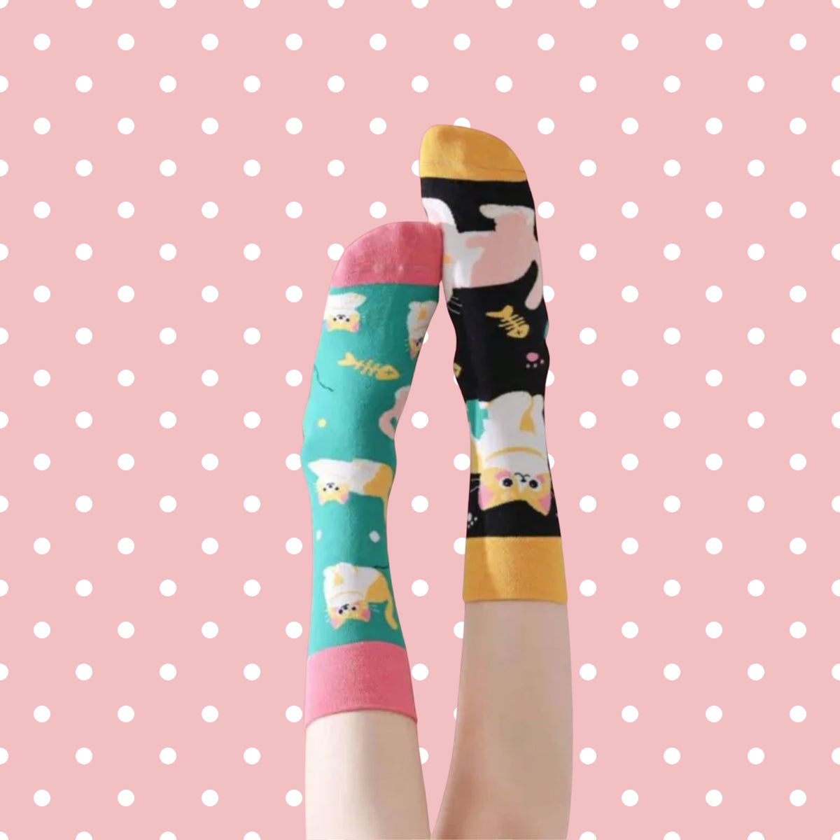 the mismatched cat socks