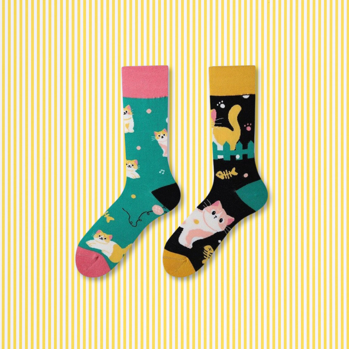 the mismatched cat socks