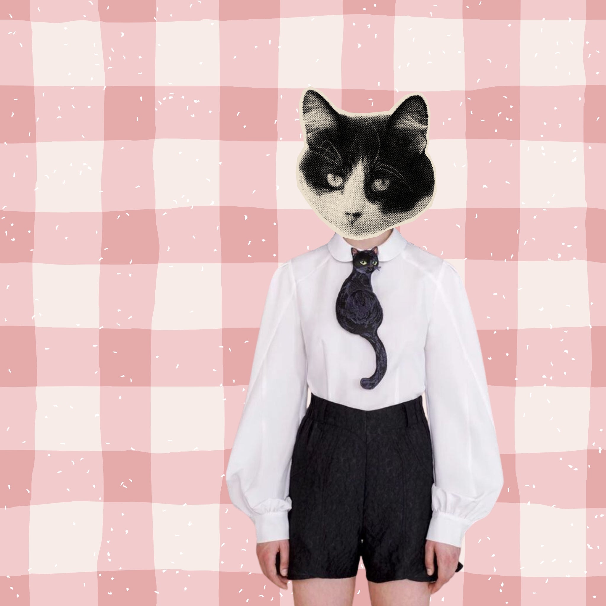black cat bolo