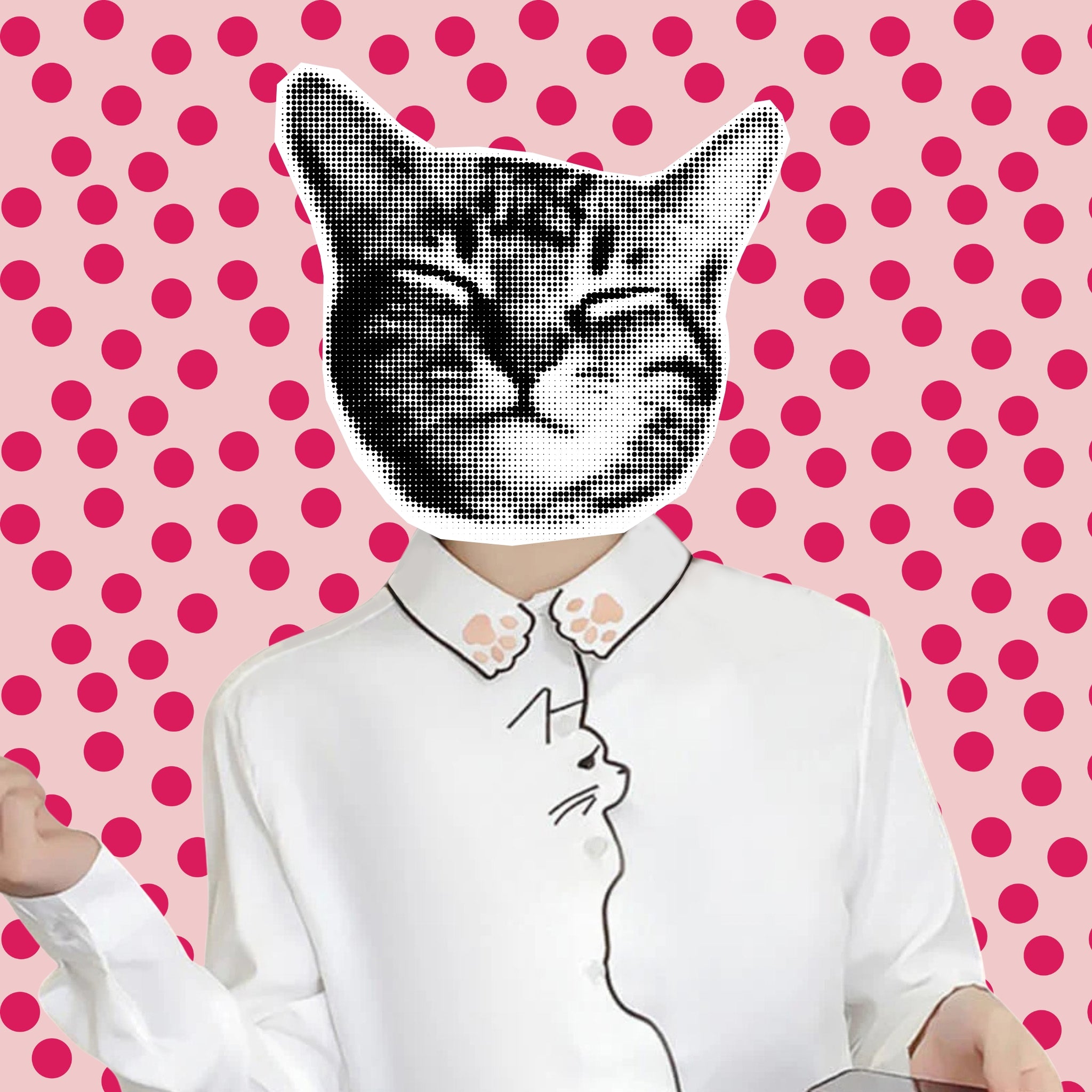 dainty cat embroidered shirt